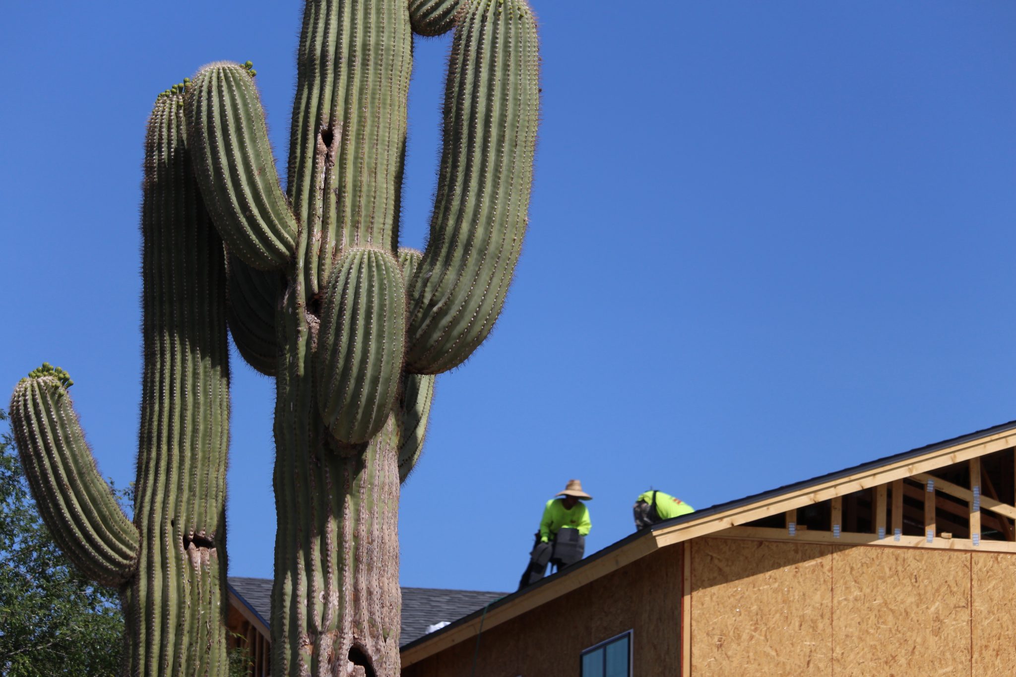 Arizona solar roof