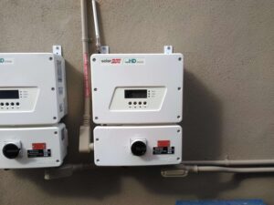 image-of-solar-oxes-on-wall-two